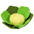 Cabbage Sniffing Toy and Slow Feed Dog Bowl