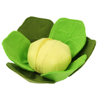 Cabbage Sniffing Toy and Slow Feed Dog Bowl