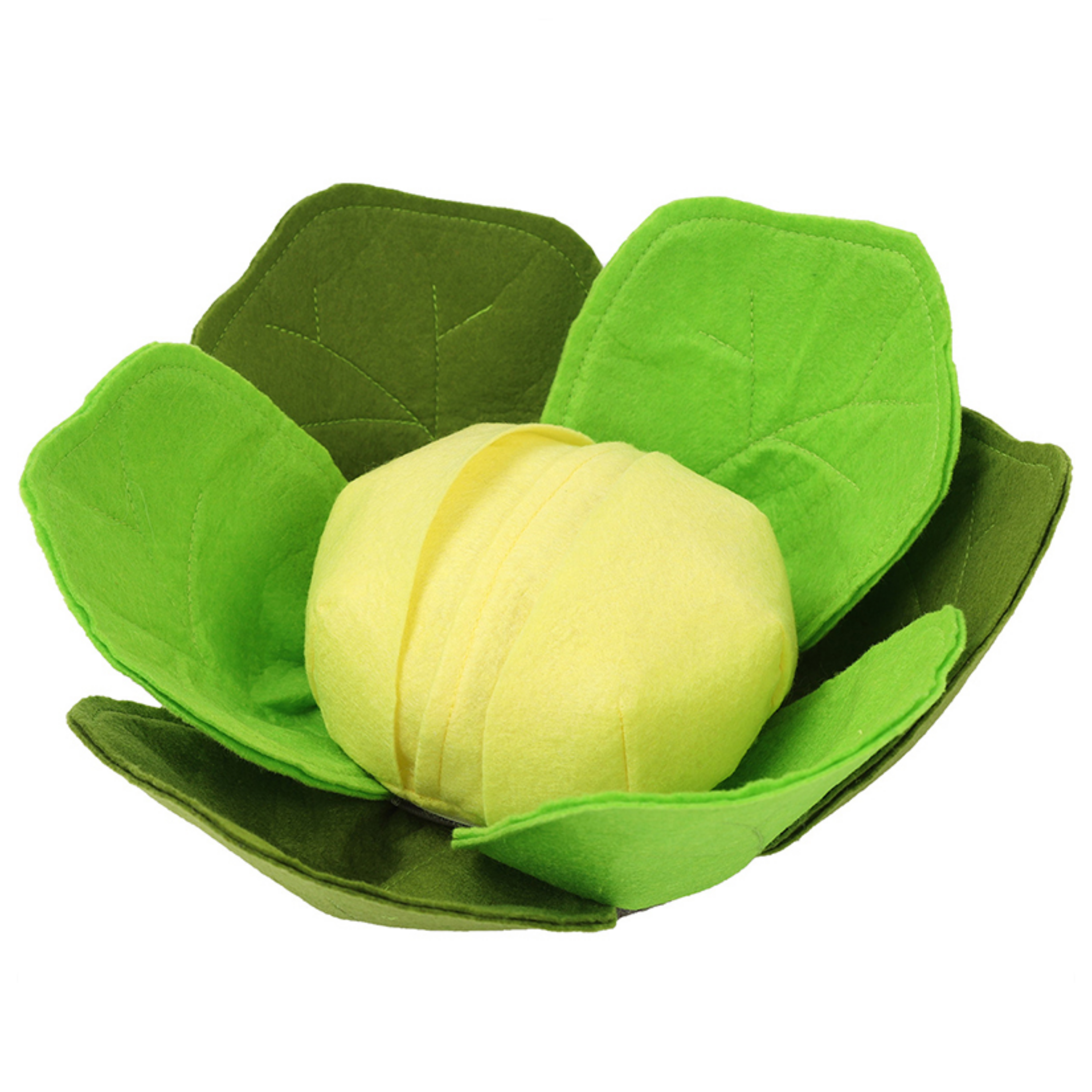 Cabbage Sniffing Toy and Slow Feed Dog Bowl