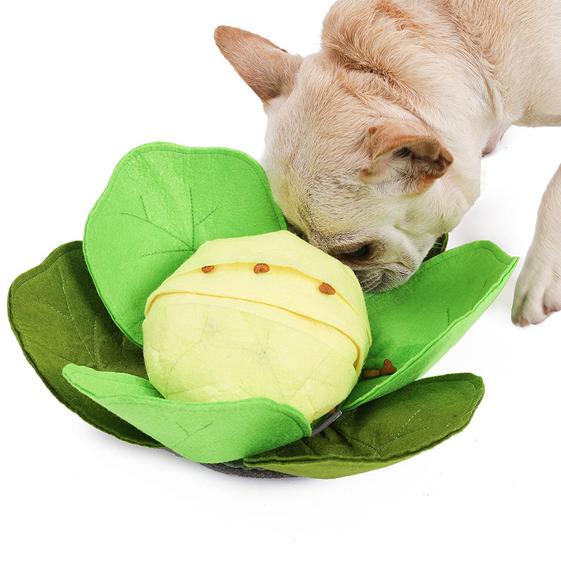 Cabbage Sniffing Toy and Slow Feed Dog Bowl