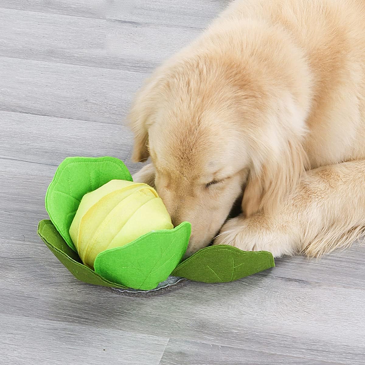 Cabbage Sniffing Toy and Slow Feed Dog Bowl