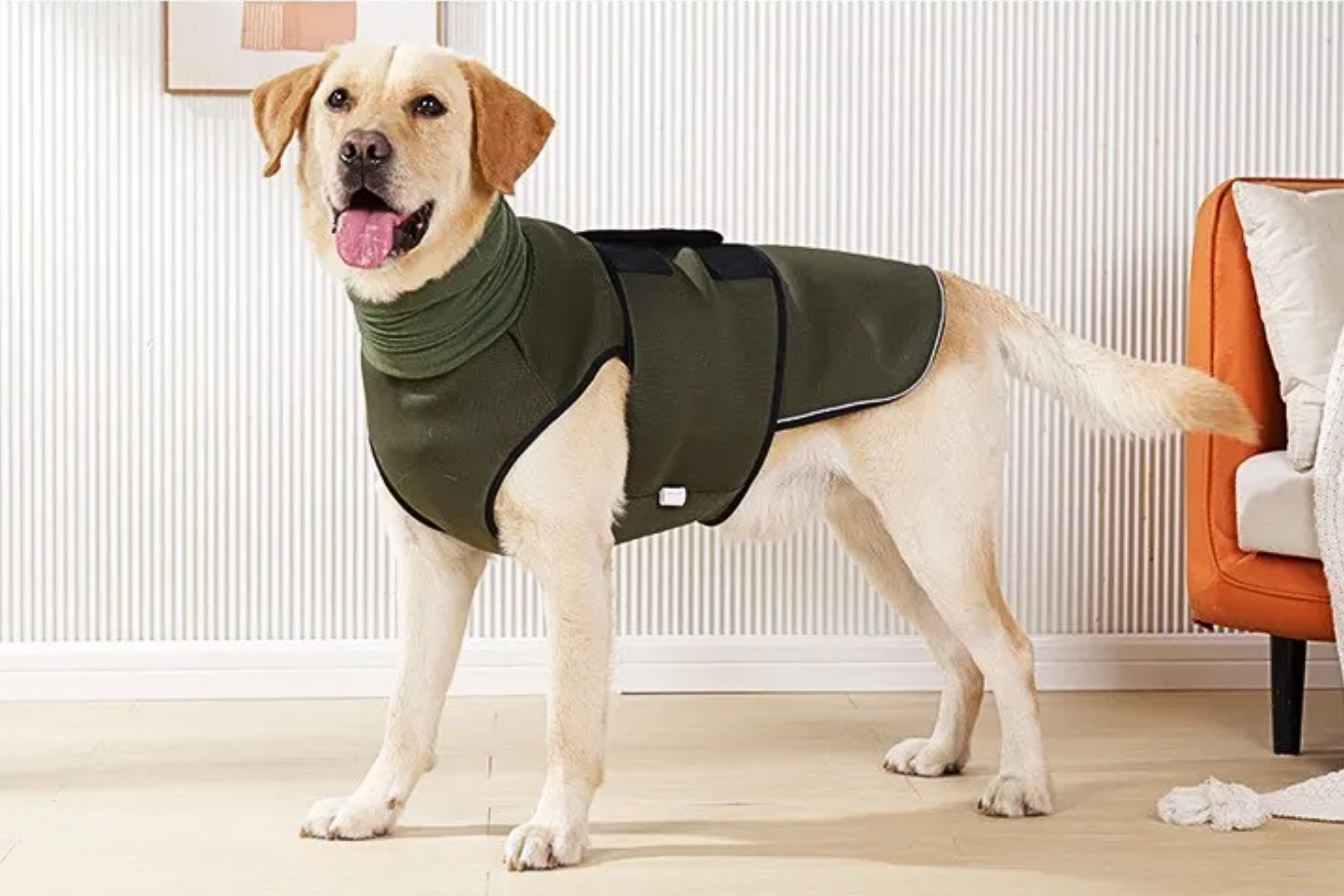 Calming Jacket for Anxiety Relief