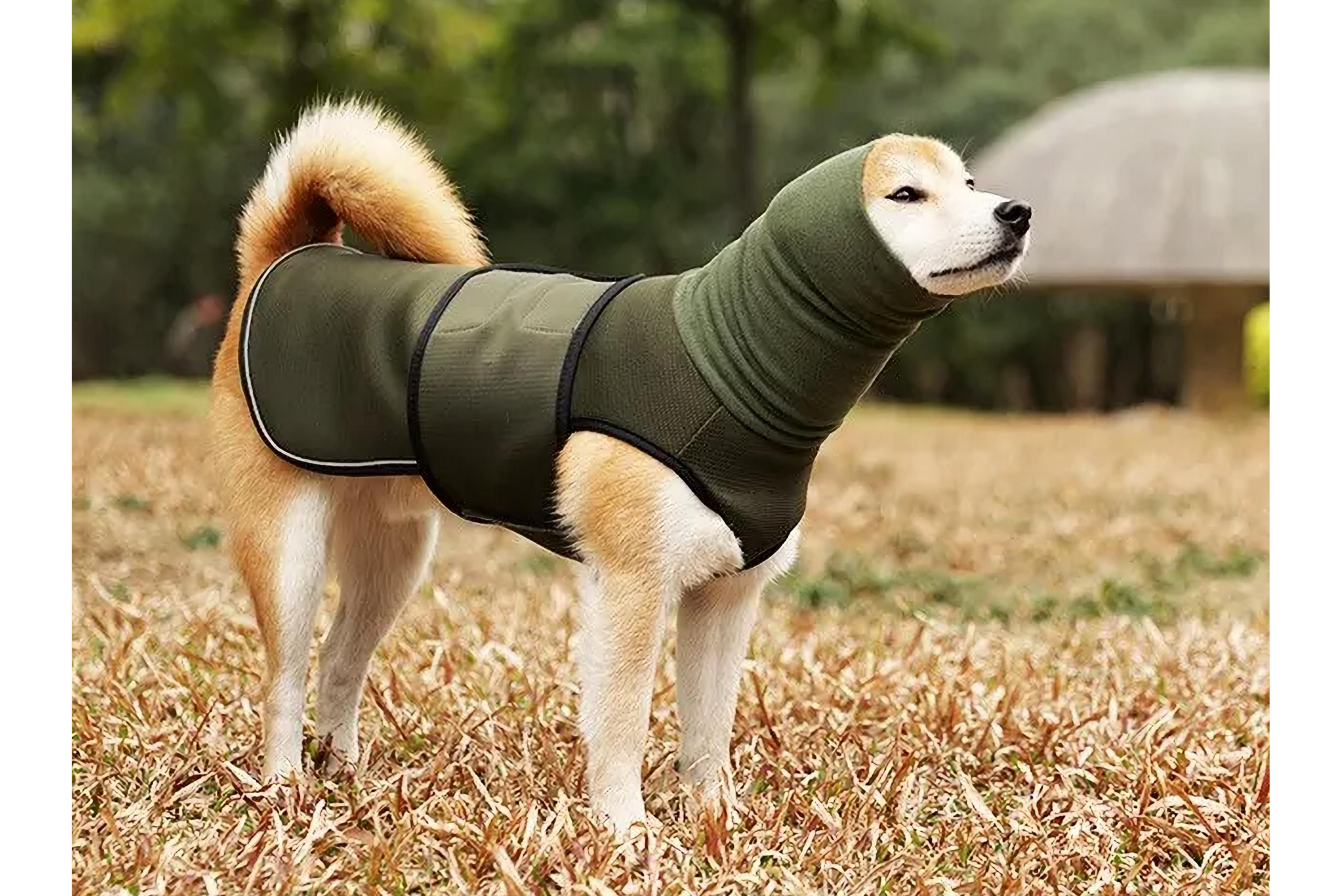 Calming Jacket for Anxiety Relief