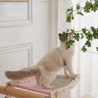 Wooden Cat Hammock
