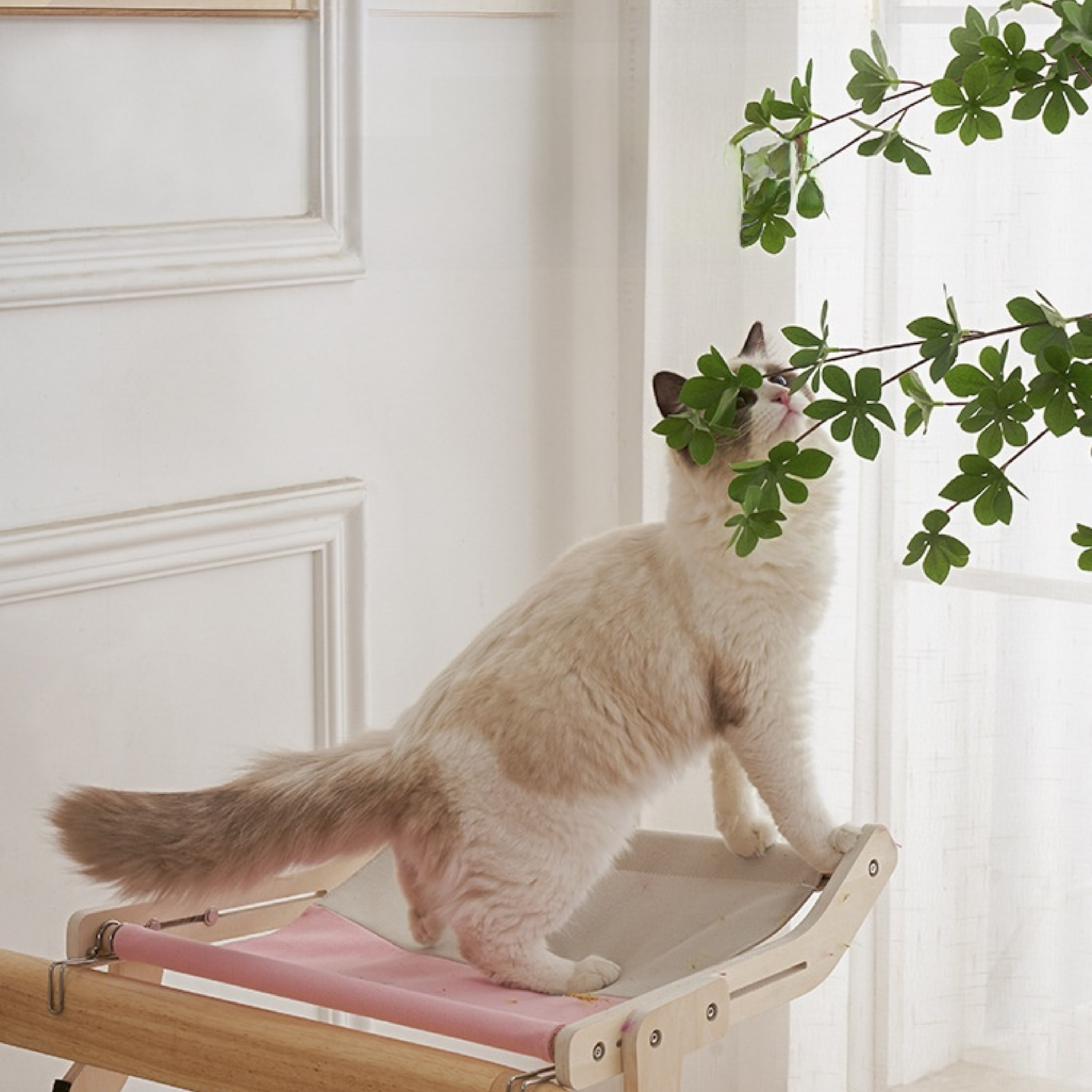 Wooden Cat Hammock